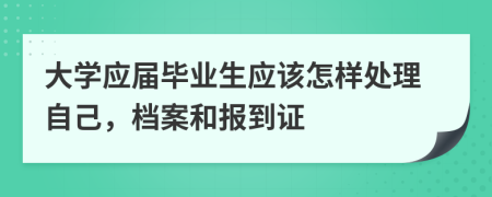 大学应届毕业生应该怎样处理自己，档案和报到证