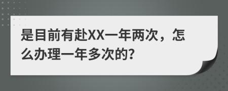 是目前有赴XX一年两次，怎么办理一年多次的？