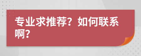 专业求推荐？如何联系啊？