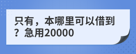 只有，本哪里可以借到？急用20000