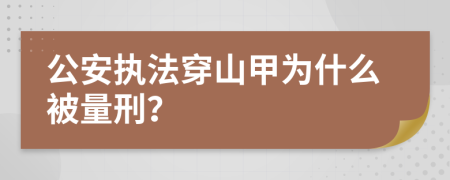 公安执法穿山甲为什么被量刑？