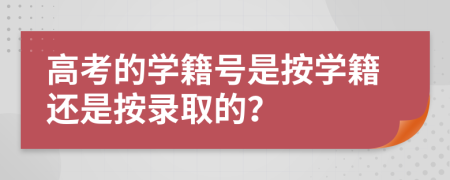 高考的学籍号是按学籍还是按录取的？