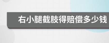 右小腿截肢得赔偿多少钱