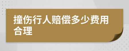 撞伤行人赔偿多少费用合理