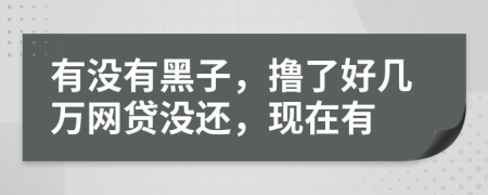 有没有黑子，撸了好几万网贷没还，现在有