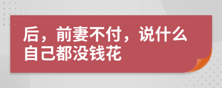 后，前妻不付，说什么自己都没钱花