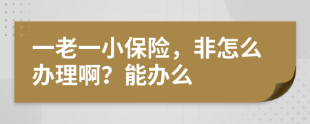 一老一小保险，非怎么办理啊？能办么