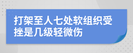 打架至人七处软组织受挫是几级轻微伤