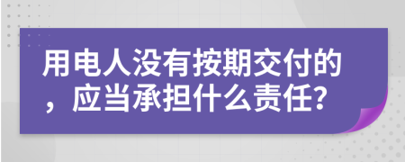 用电人没有按期交付的，应当承担什么责任？