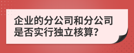 企业的分公司和分公司是否实行独立核算？