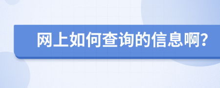 网上如何查询的信息啊？