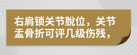 右肩锁关节脫位，关节盂骨折可评几级伤残，