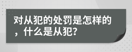 对从犯的处罚是怎样的，什么是从犯？
