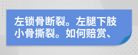 左锁骨断裂。左腿下肢小骨撕裂。如何赔赏、