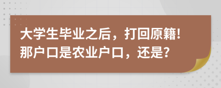 大学生毕业之后，打回原籍!那户口是农业户口，还是？