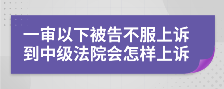 一审以下被告不服上诉到中级法院会怎样上诉