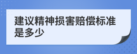 建议精神损害赔偿标准是多少