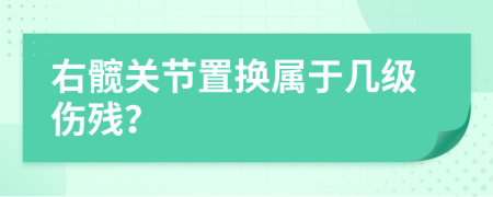 右髋关节置换属于几级伤残？