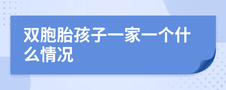 双胞胎孩子一家一个什么情况