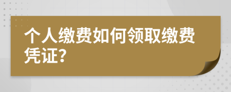 个人缴费如何领取缴费凭证？