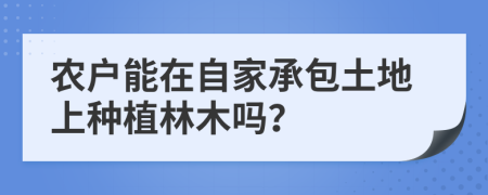 农户能在自家承包土地上种植林木吗？