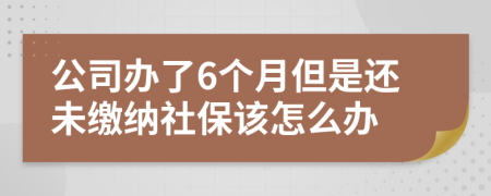 公司办了6个月但是还未缴纳社保该怎么办