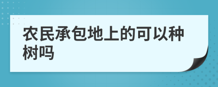 农民承包地上的可以种树吗