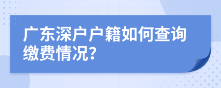 广东深户户籍如何查询缴费情况？