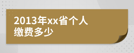 2013年xx省个人缴费多少