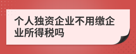 个人独资企业不用缴企业所得税吗