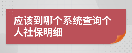 应该到哪个系统查询个人社保明细