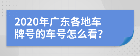 2020年广东各地车牌号的车号怎么看？