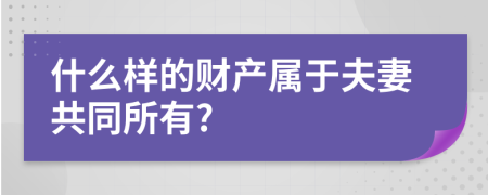 什么样的财产属于夫妻共同所有?