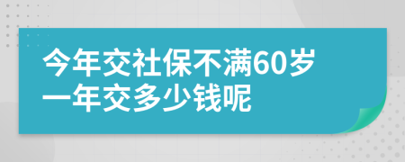 今年交社保不满60岁一年交多少钱呢