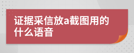 证据采信放a截图用的什么语音