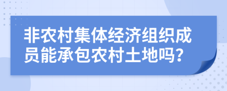 非农村集体经济组织成员能承包农村土地吗？