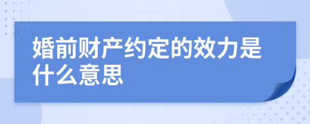 婚前财产约定的效力是什么意思