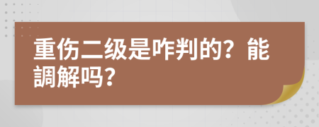 重伤二级是咋判的？能調解吗？