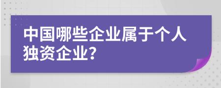 中国哪些企业属于个人独资企业？