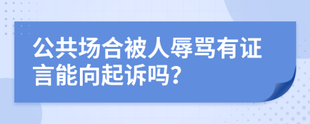 公共场合被人辱骂有证言能向起诉吗？