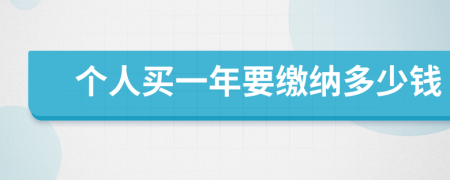 个人买一年要缴纳多少钱