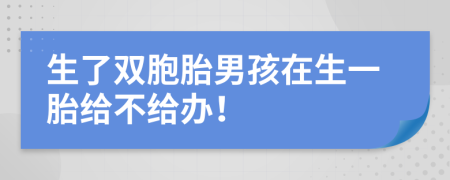 生了双胞胎男孩在生一胎给不给办！