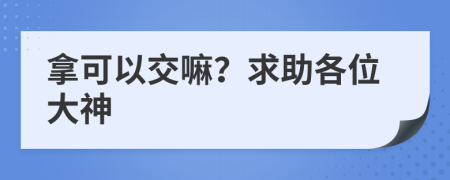 拿可以交嘛？求助各位大神