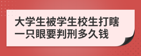 大学生被学生校生打瞎一只眼要判刑多久钱