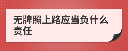 无牌照上路应当负什么责任