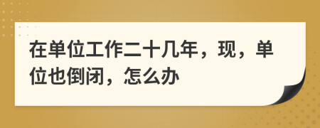 在单位工作二十几年，现，单位也倒闭，怎么办