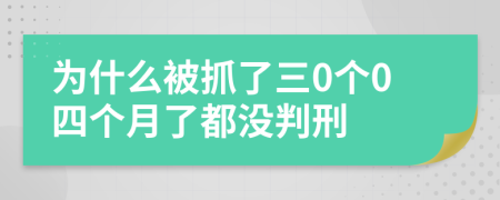 为什么被抓了三0个0四个月了都没判刑