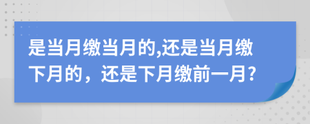 是当月缴当月的,还是当月缴下月的，还是下月缴前一月?