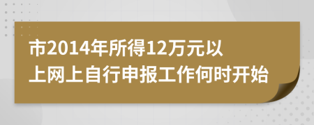 市2014年所得12万元以上网上自行申报工作何时开始