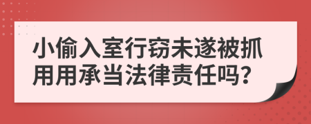 小偷入室行窃未遂被抓用用承当法律责任吗？